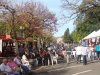 publico-aproveitou-a-tarde-festiva-e-agradavel-em-pocos-de-caldas